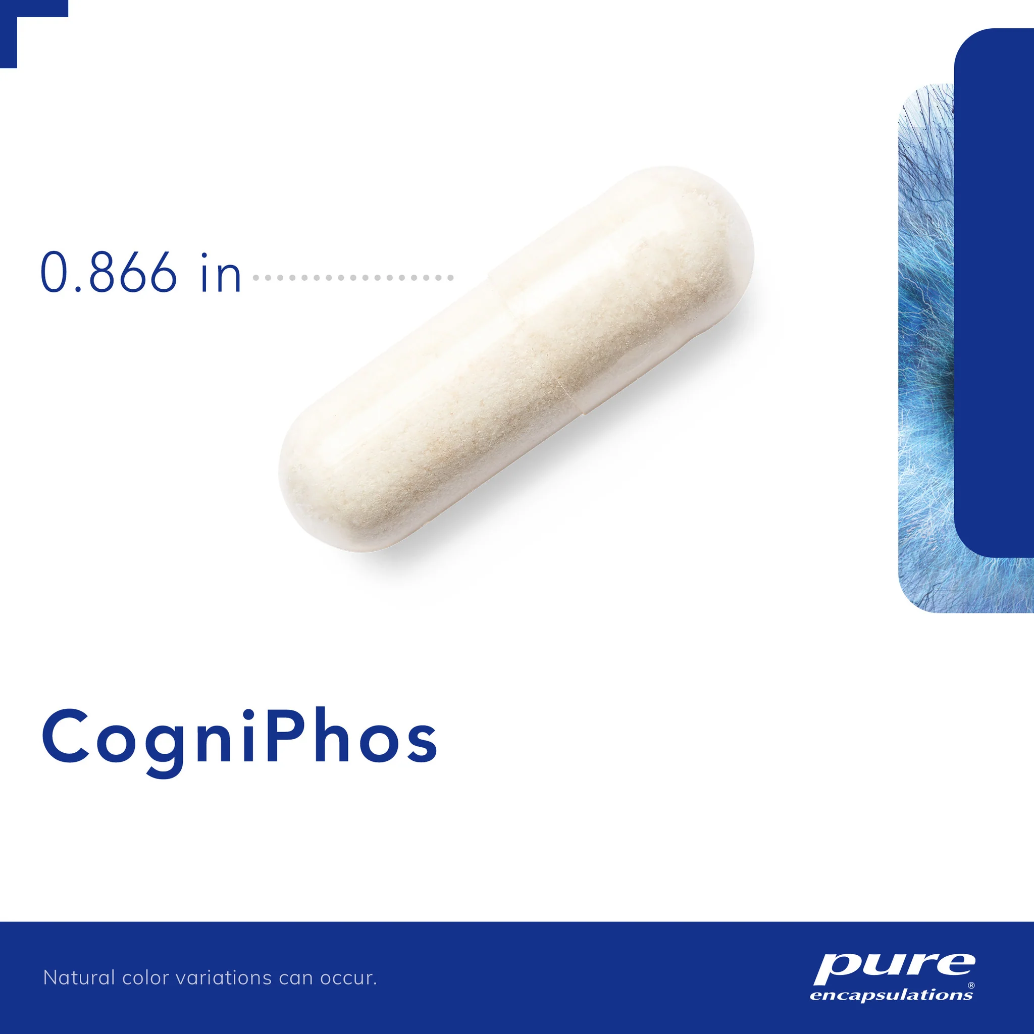 Pure encapsulations®CogniPhos - Image 3