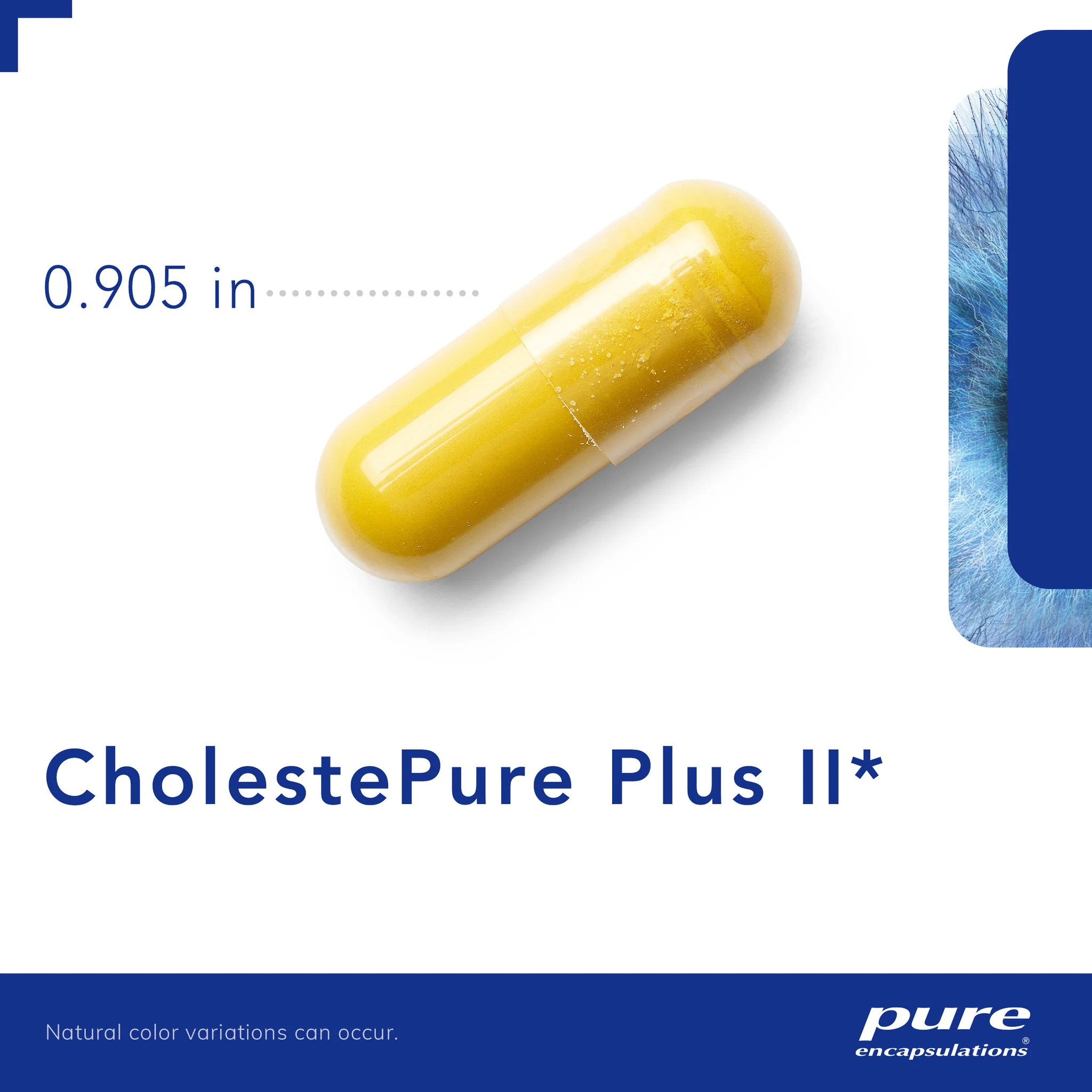 Pure encapsulations®CholestePure Plus‡ - Image 2