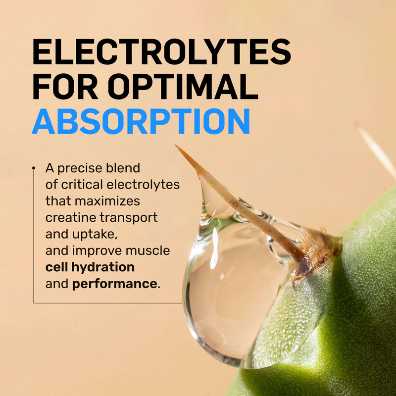 Naked Nutrition Creatine HCl Powder - Image 3